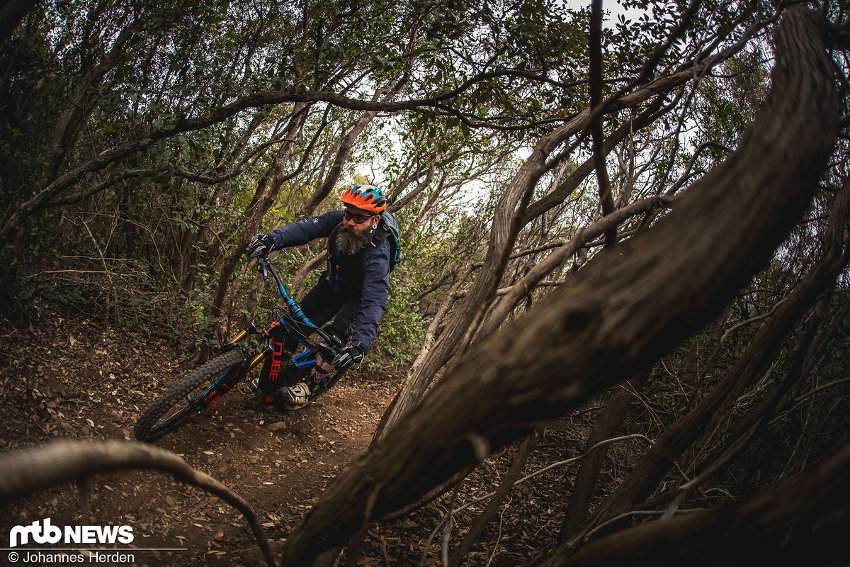 Die Trails rund um Punta Ala bestehen schon viele, viele Jahre – es wurde einiges an Holz hinaustransportiert und die Maultiere haben die Wege stark verdichtet Die Trails rund um Punta Ala bestehen schon viele, viele Jahre – es wurde einiges an Holz hinaustransportiert und die Maultiere haben die Wege stark verdichtet