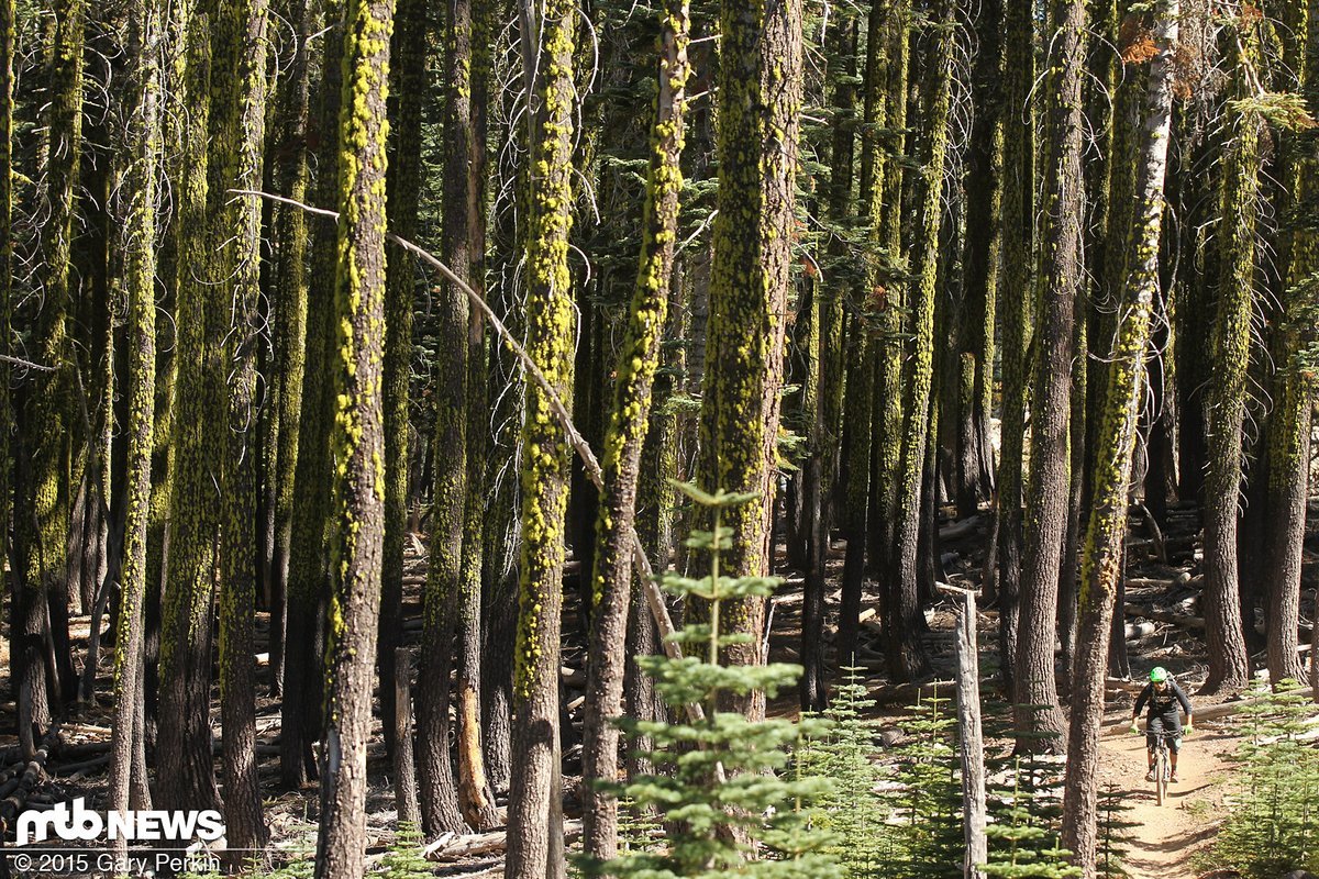 Rund um Downieville bietet sich eine Vielzahl endloser Singletrails Rund um Downieville bietet sich eine Vielzahl endloser Singletrails
