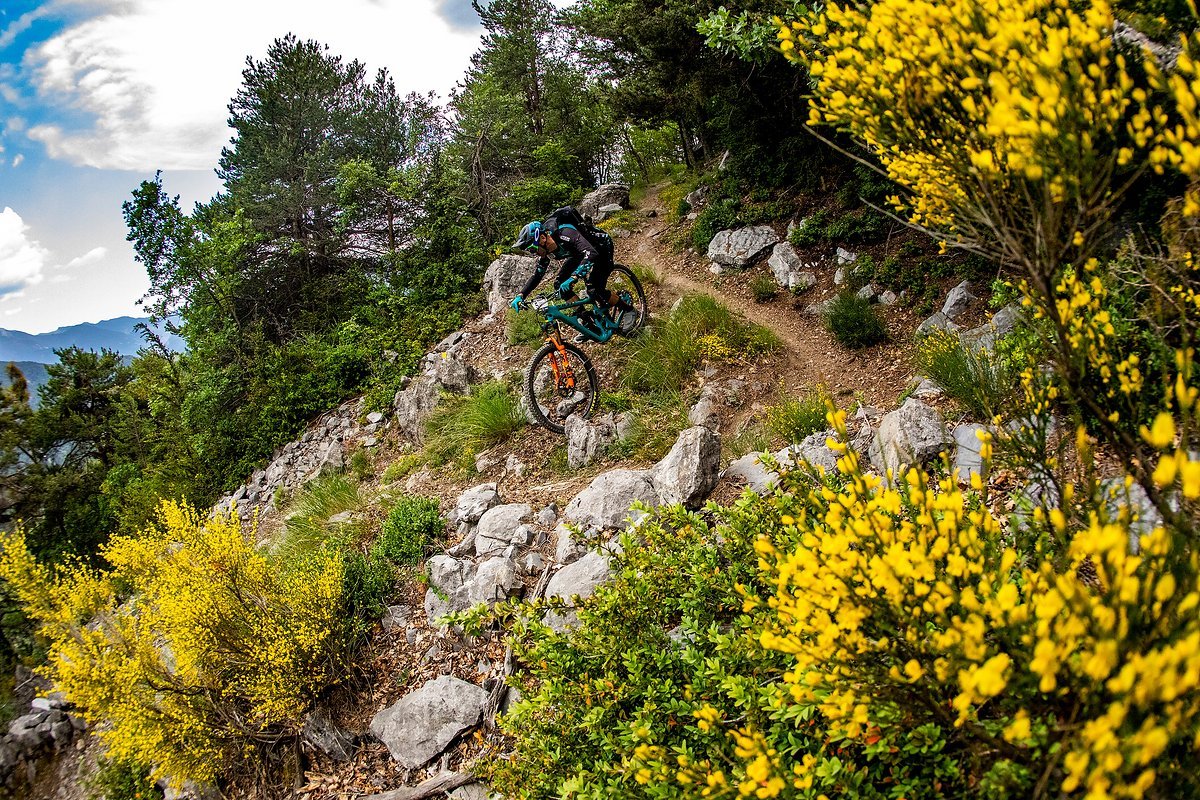 Dieser Amerikaner, dessen Namen wir lieber nicht nennen, fährt ein revolutionäres neues Fahrrad, bei dem die Federgabel fest in den Rahmen integriert ist Dieser Amerikaner, dessen Namen wir lieber nicht nennen, fährt ein revolutionäres neues Fahrrad, bei dem die Federgabel fest in den Rahmen integriert ist