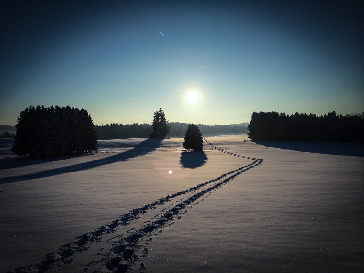 Perfekte Bedingungen für den ersten Ausflug im Schnee Perfekte Bedingungen für den ersten Ausflug im Schnee