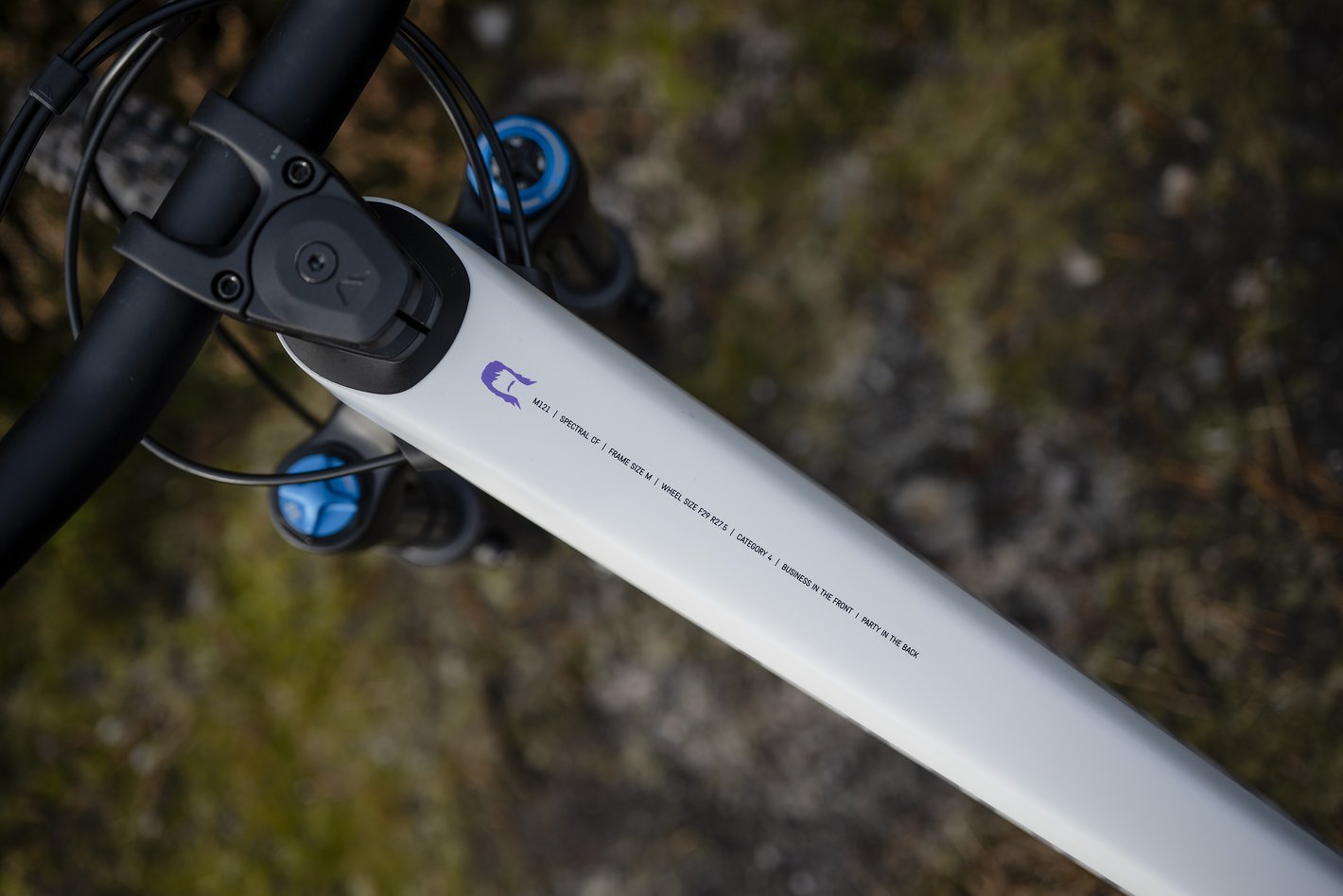 Canyon Spectral CF 8 CLLCTV 2022: Alle Infos, Varianten und Test