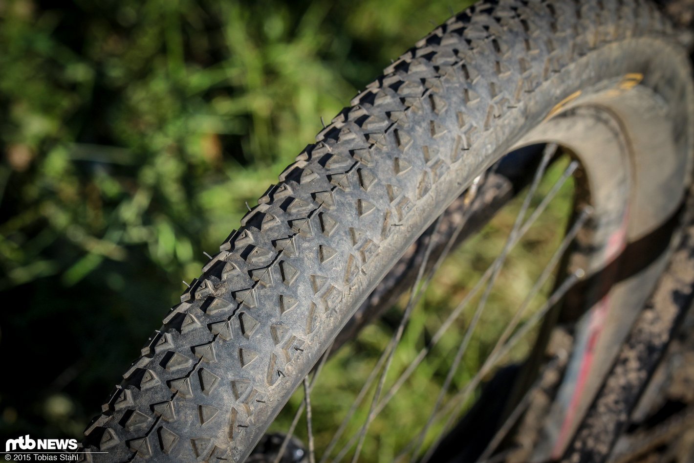 Test: Continental Race King RaceSport - MTB-News.de