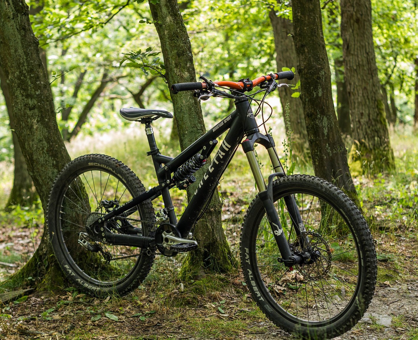 mountain peak panther mtb