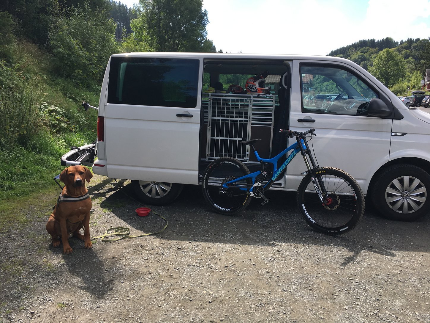 Foto Unterwegs mit Hundi und Rad MTBNews.de