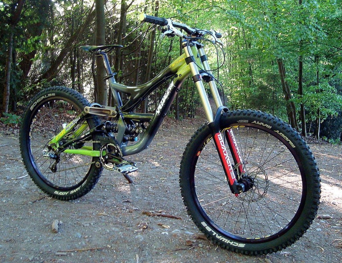 Foto: Specialized Demo 7 DH - MTB-News.de