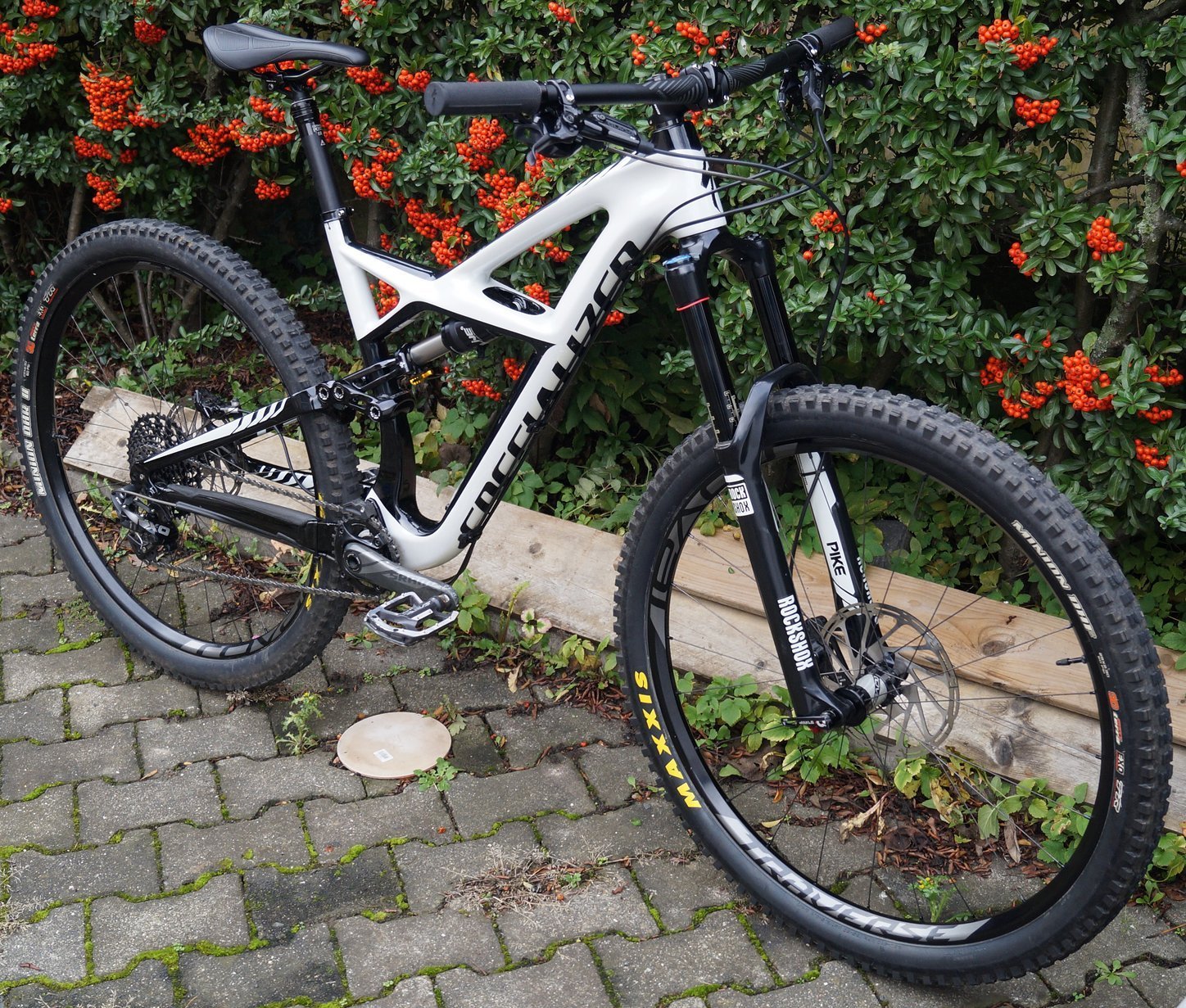 specialized enduro expert carbon 29