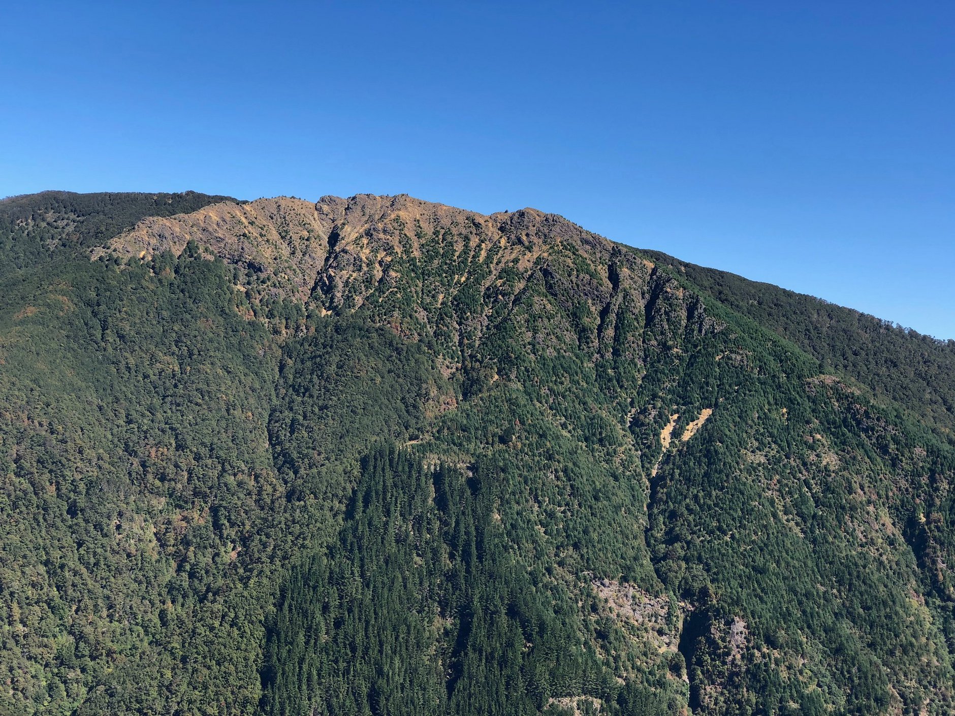 wairoa gorge mtb