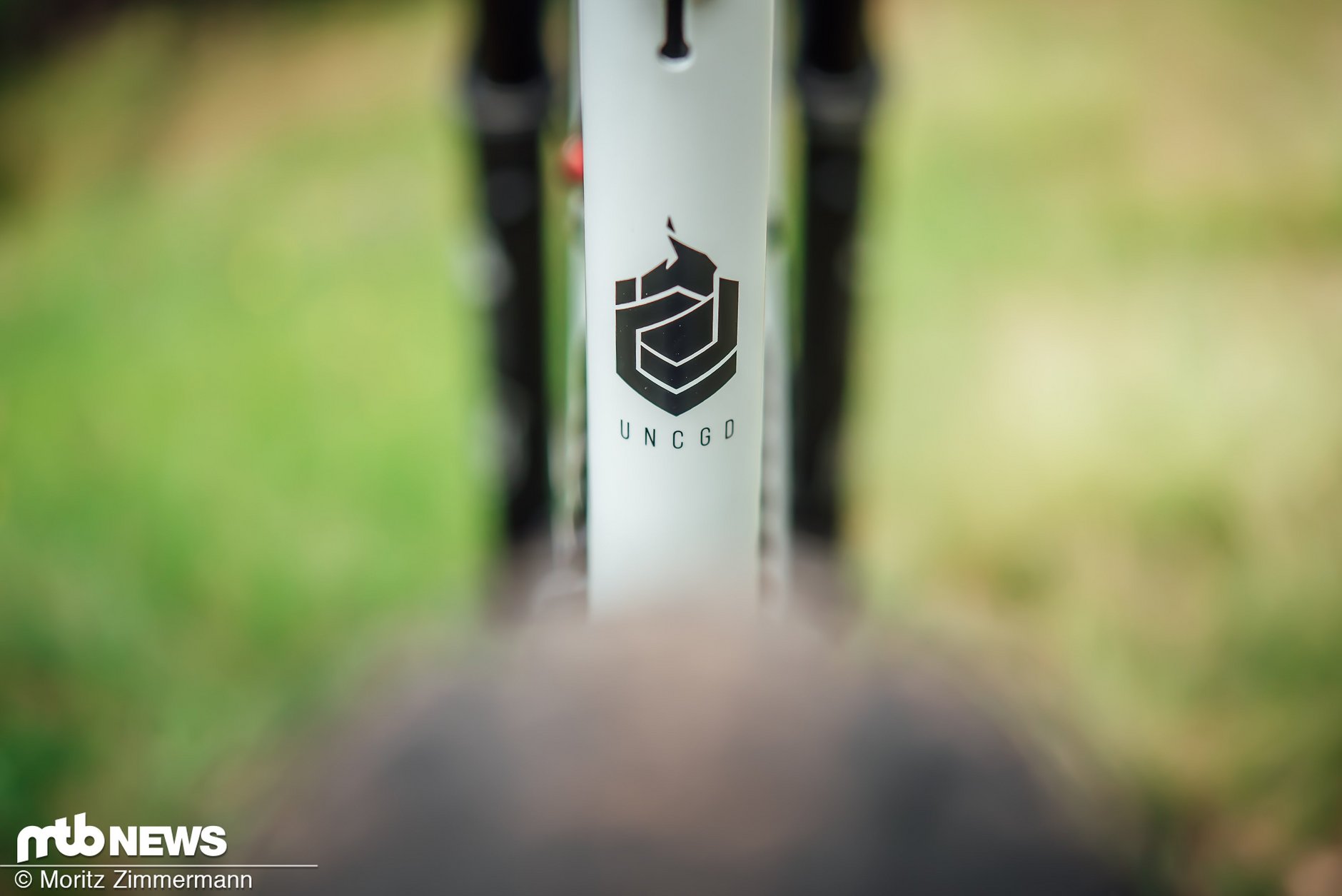 capra shred 29 review