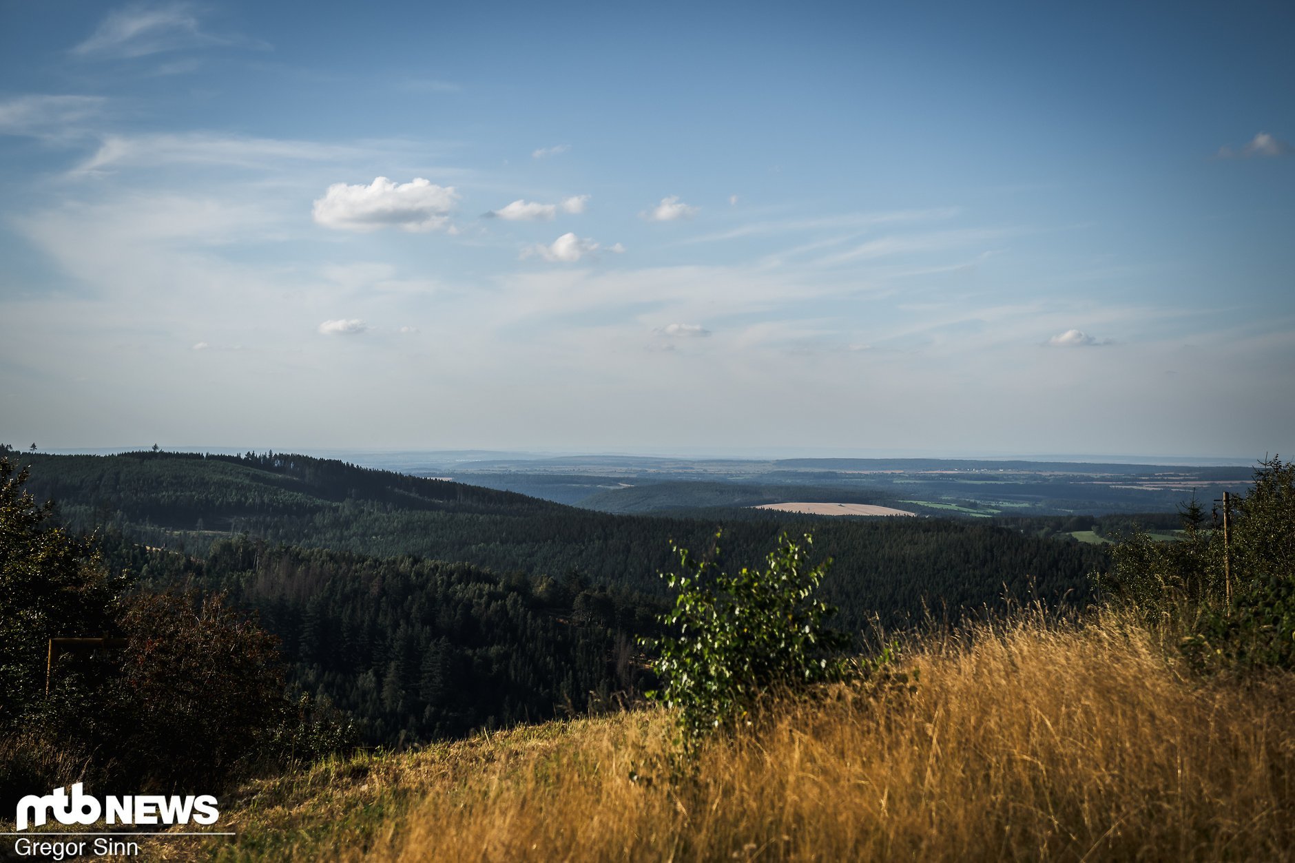 Downhill DM 2024 Ilmenau Fotostory vom Trackwalk MTBNews.de