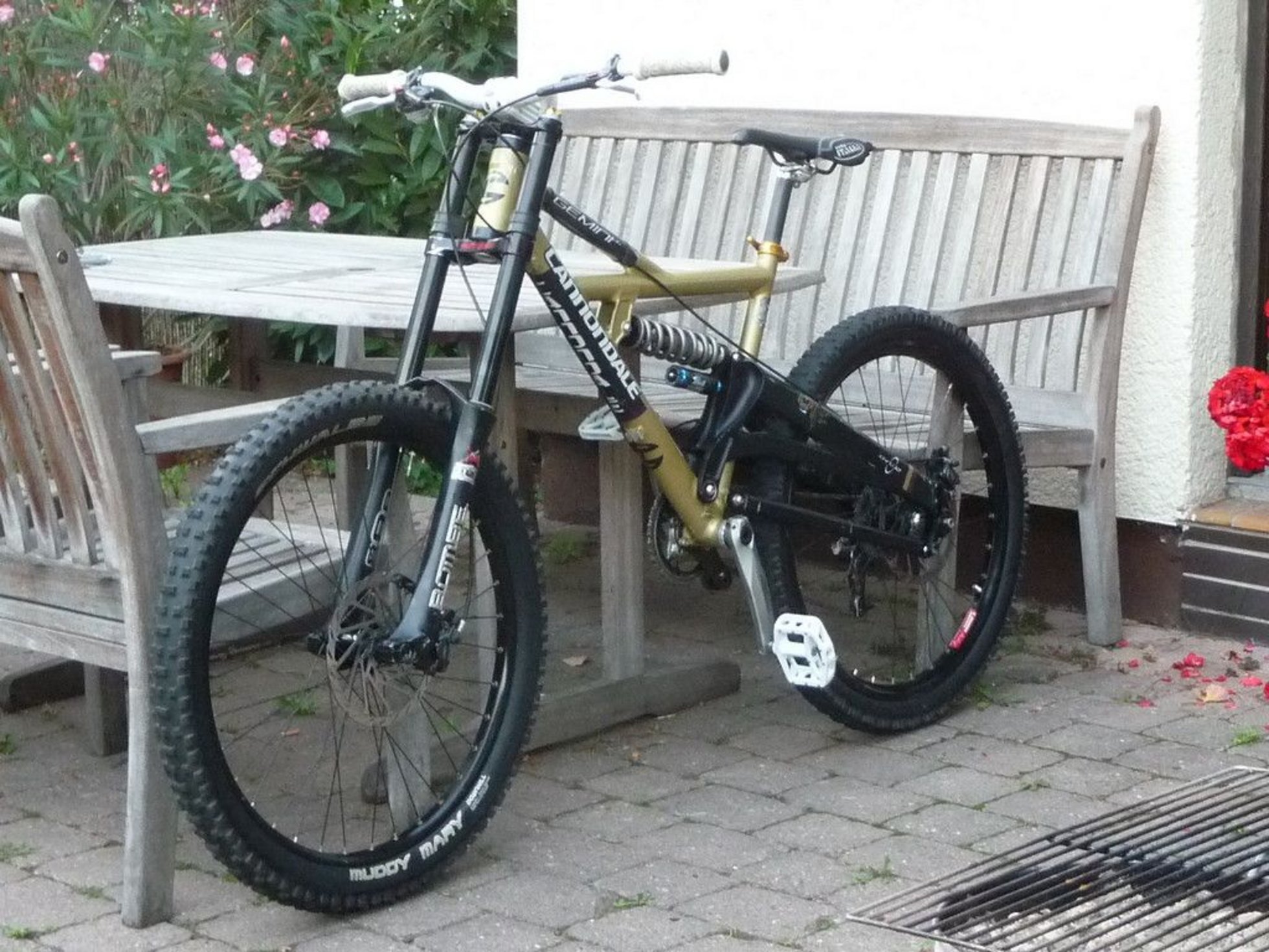 cannondale dh