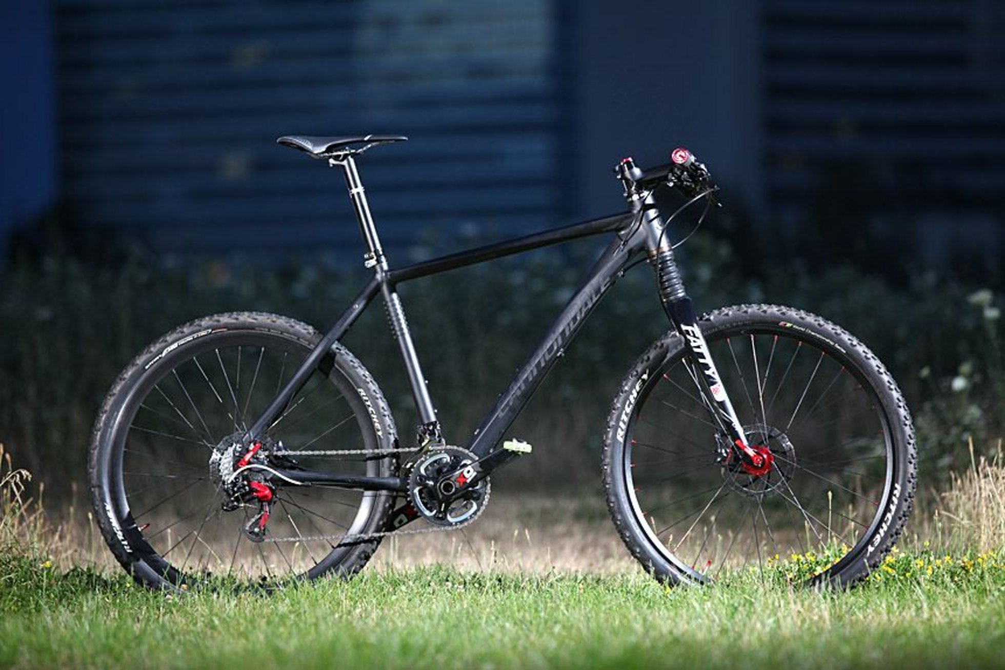 gravel cannondale 2019