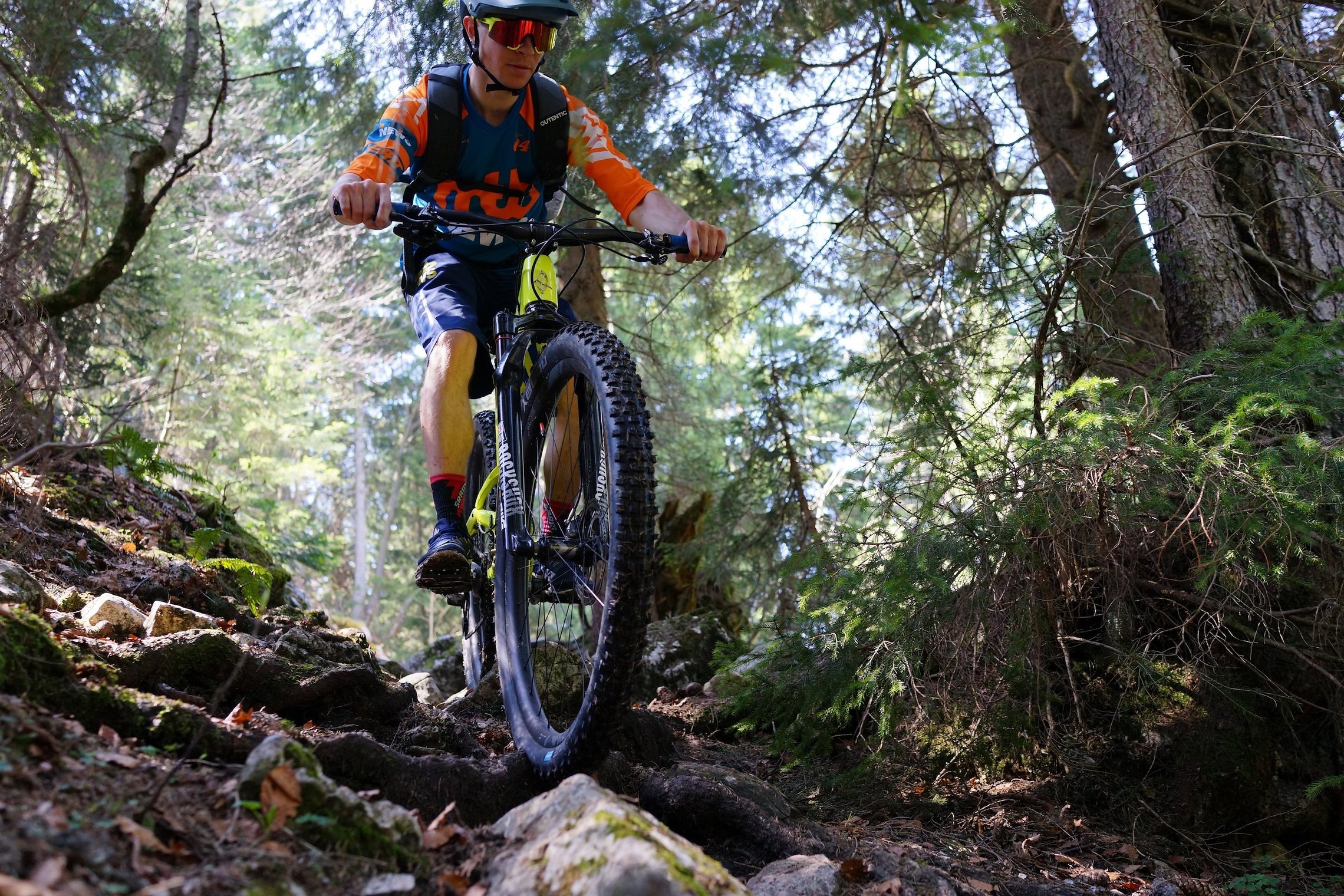 Schwalbe Nobby Nic 2,6" im Test Goldene Mitte oder Mittelmaß? MTBNews.de