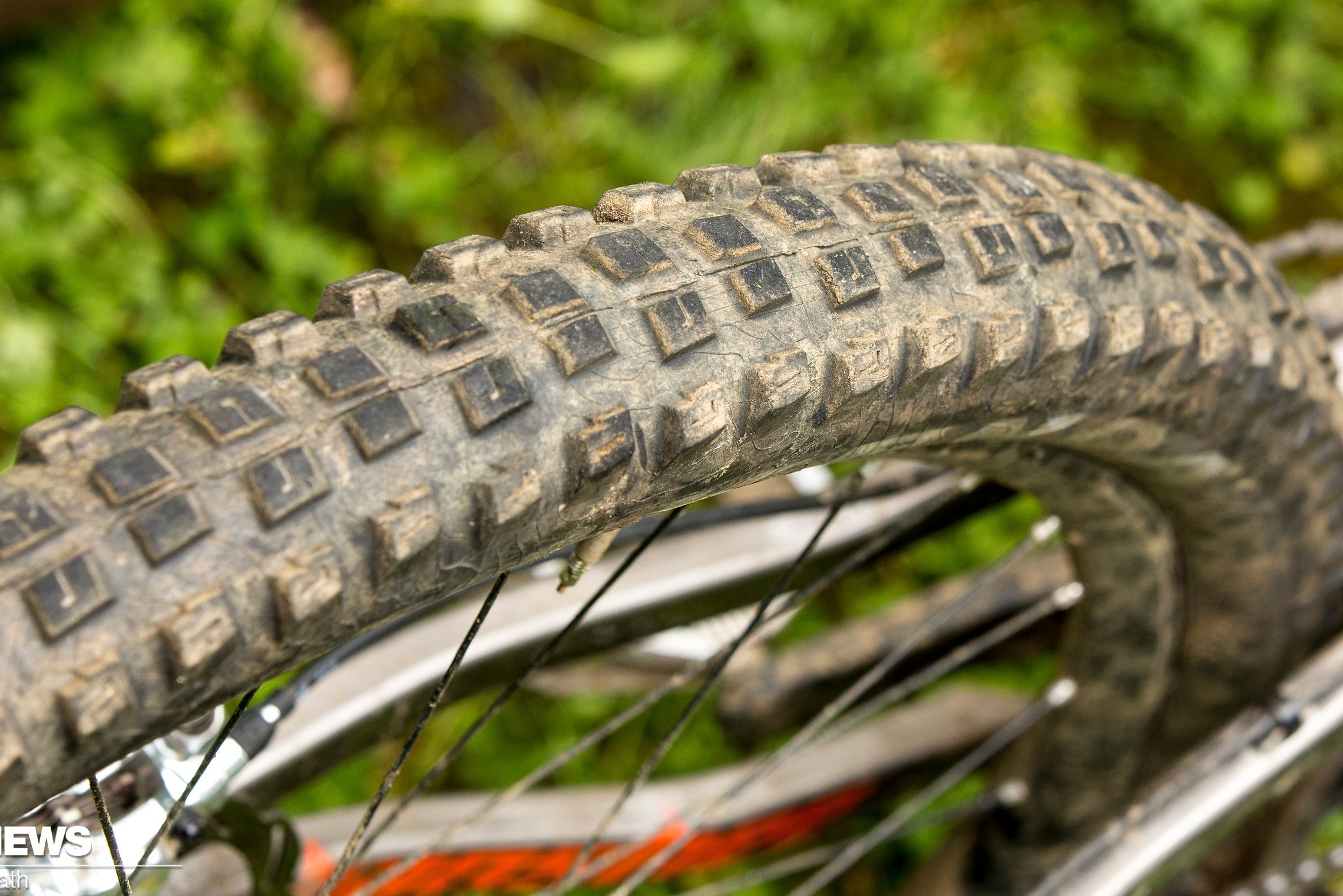 Kenda Pinner Pro MTBReifen im Test Damit gwinnst! MTBNews.de