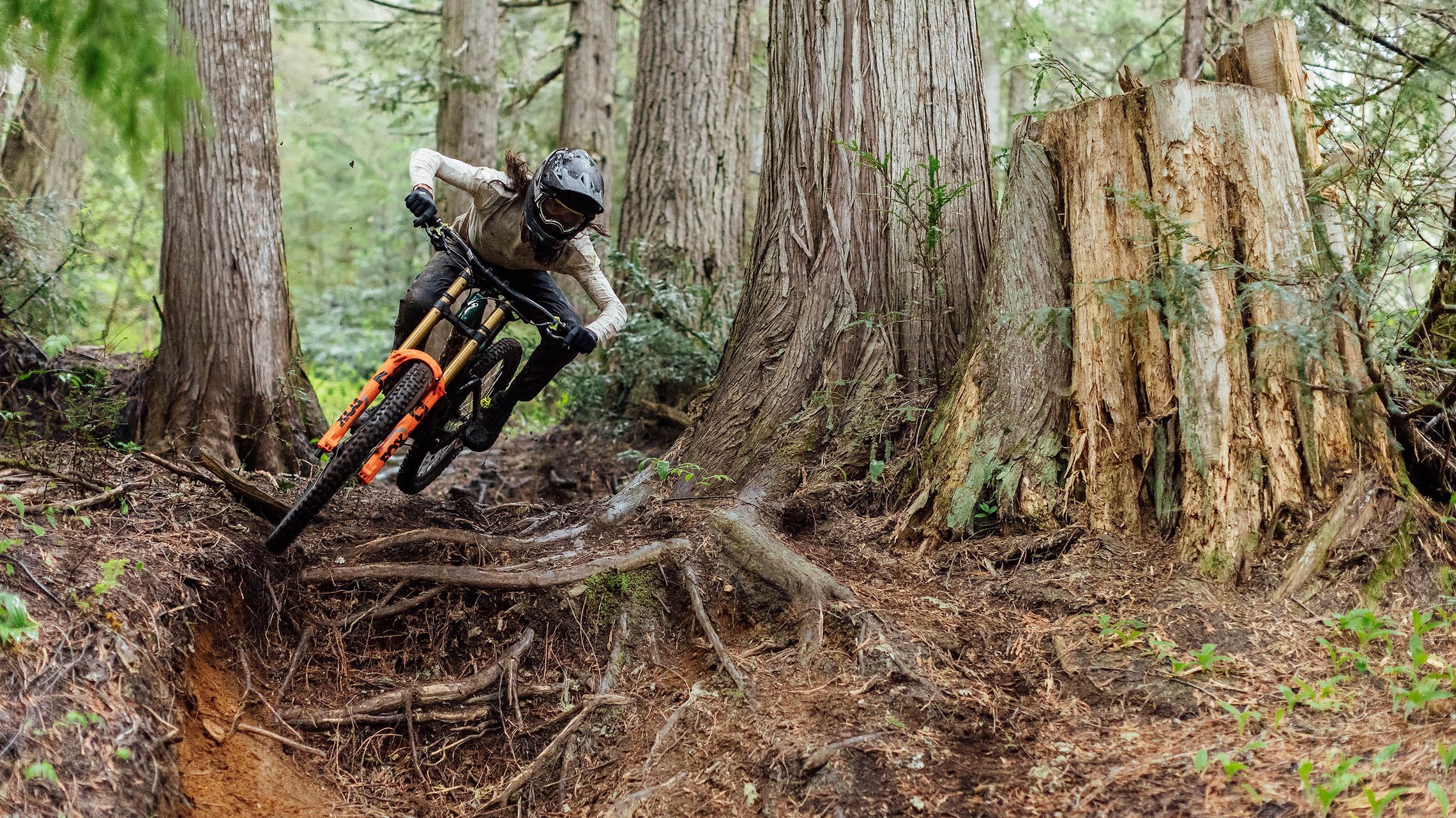 hillbilly mtb tyre