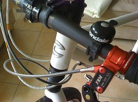 Foto