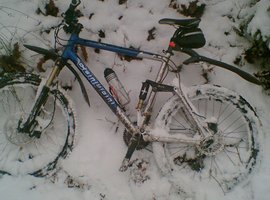 Foto