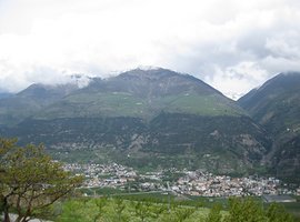 Foto