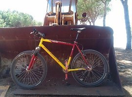 Foto