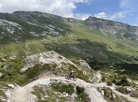 Foto