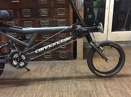 Cannondale easy online rider