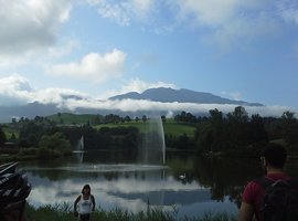 Foto