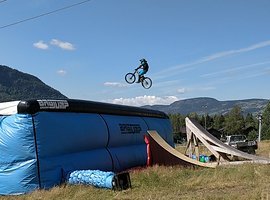 Foto