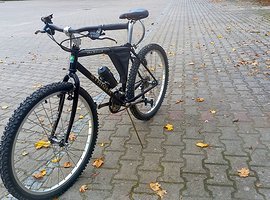 Foto