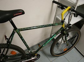 Foto