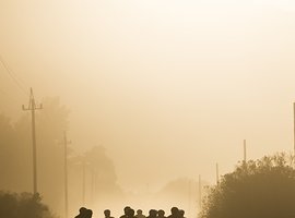 Foto