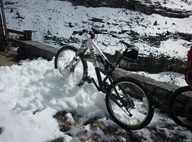 Foto