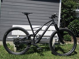 specialized stumpjumper st expert 2019