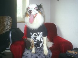 Foto