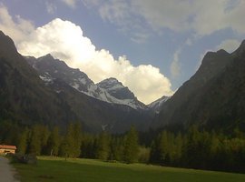 Foto