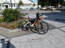 Foto