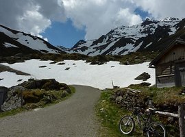 Foto