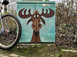 Foto