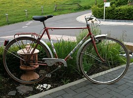 Foto