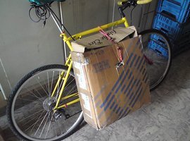 Foto