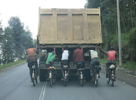 Foto