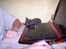 Foto