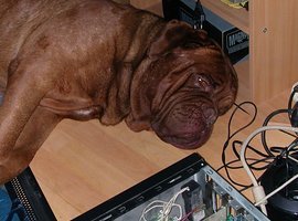 Foto