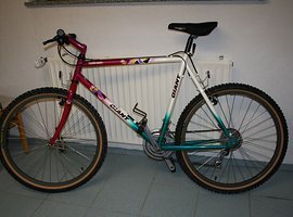 giant terrago 1990