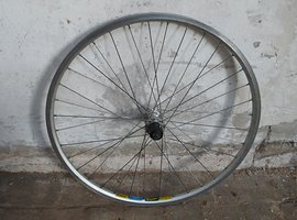 Foto