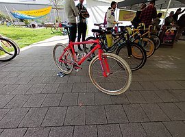 Foto