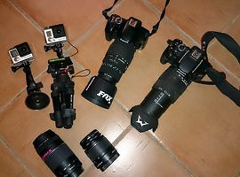 Foto