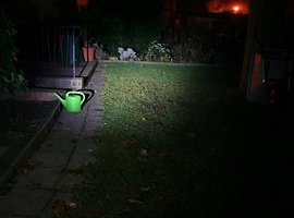 Foto
