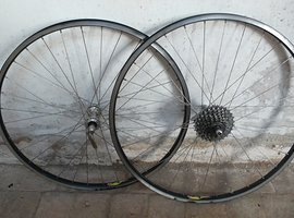 Foto