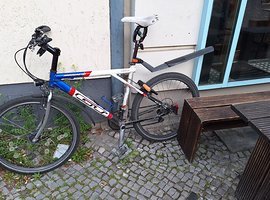Foto