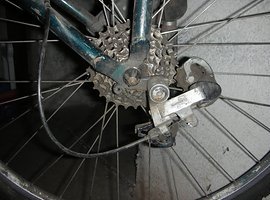 Foto