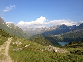Foto